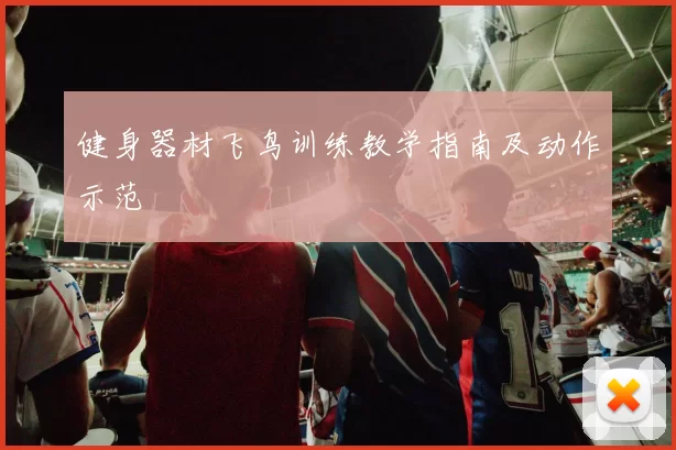 健身器材飞鸟训练教学指南及动作示范