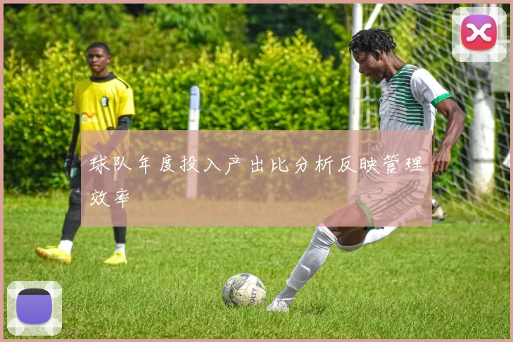 球队年度投入产出比分析反映管理效率