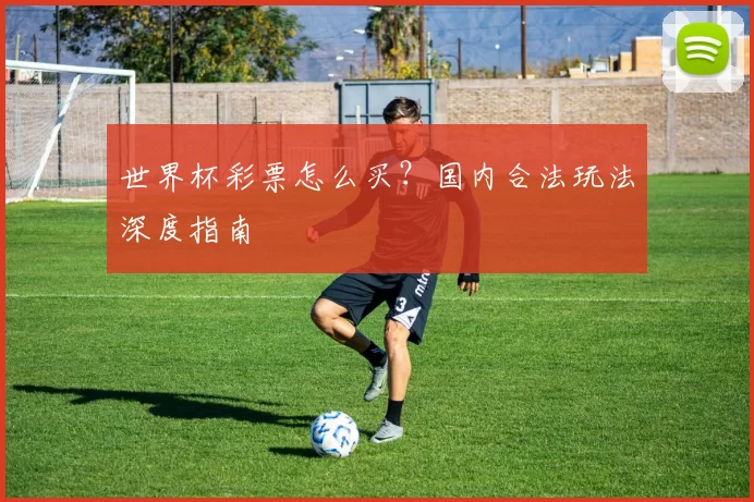 世界杯彩票怎么买?国内合法玩法深度指南