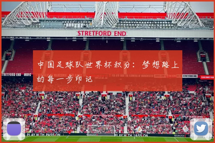 中国足球队世界杯积分:梦想路上的每一步印记