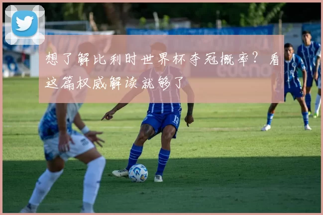 想了解比利时世界杯夺冠概率?看这篇权威解读就够了