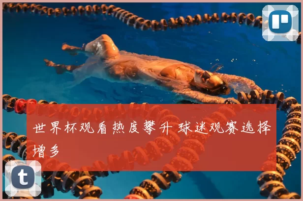 世界杯观看热度攀升 球迷观赛选择增多
