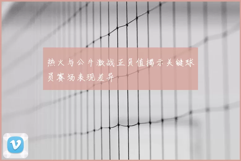 热火与公牛激战正负值揭示关键球员赛场表现差异
