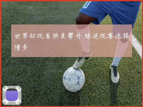 世界杯观看热度攀升 球迷观赛选择增多