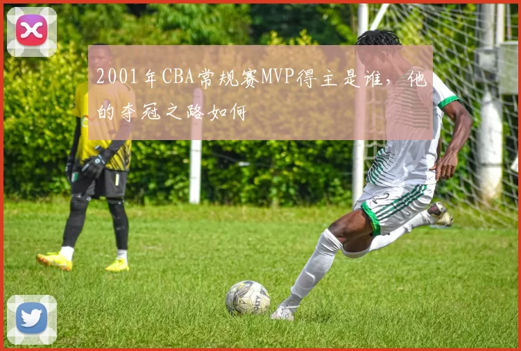 2001年CBA常规赛MVP得主是谁,他的夺冠之路如何