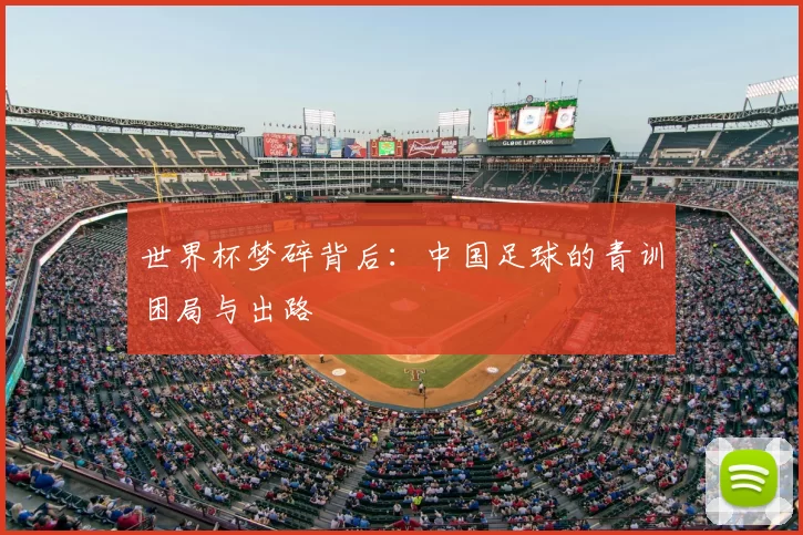 世界杯梦碎背后:中国足球的青训困局与出路